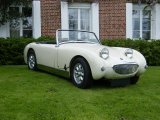 Austin Healey Frogeye